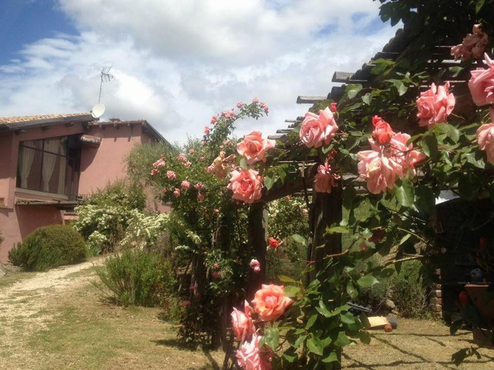 La Chiesuola Bed & Breakfast Bagnaia  Exterior photo