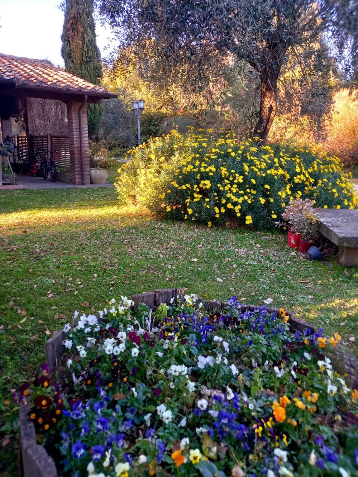 La Chiesuola Bed & Breakfast Bagnaia  Exterior photo