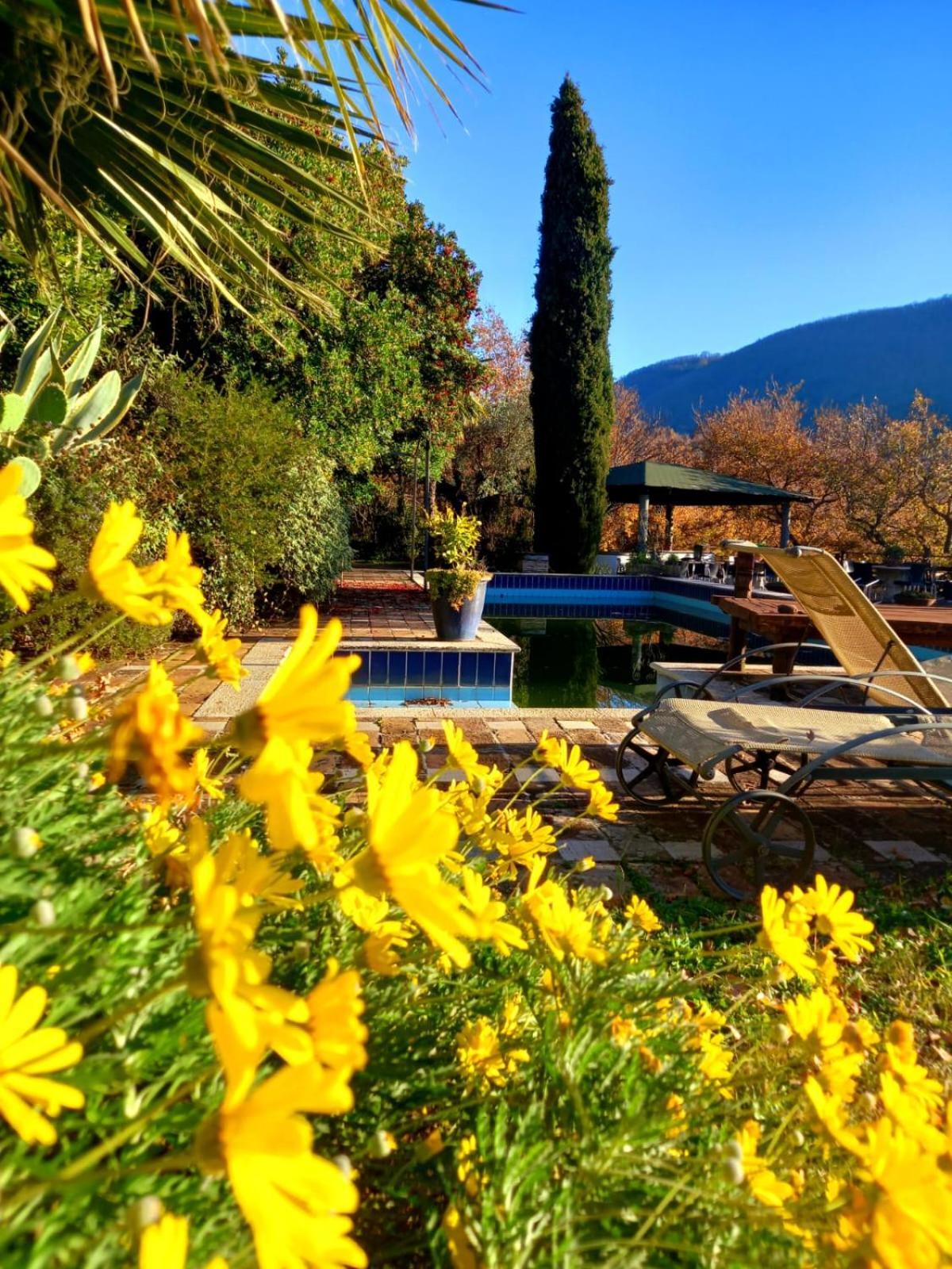 La Chiesuola Bed & Breakfast Bagnaia  Exterior photo