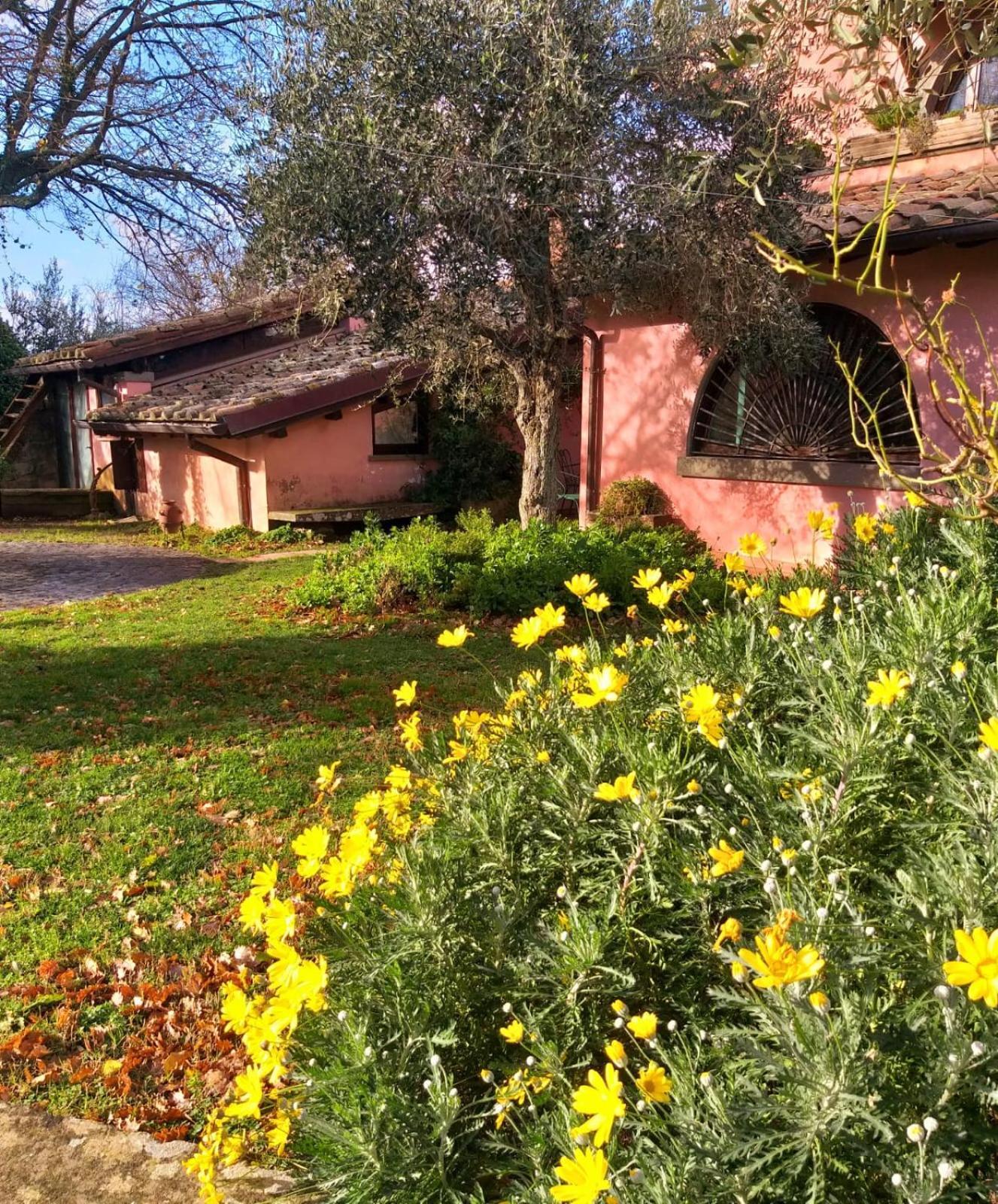 La Chiesuola Bed & Breakfast Bagnaia  Exterior photo